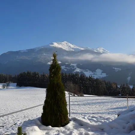 Gmiatlich Wohnen Apartment Hollersbach im Pinzgau