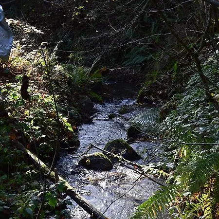Gmiatlich Wohnen * Hollersbach im Pinzgau